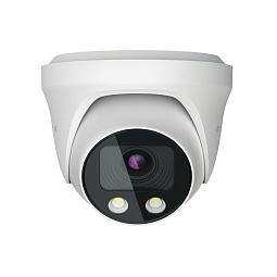 Камера с машинным зрением купольная с моторизированным объективом